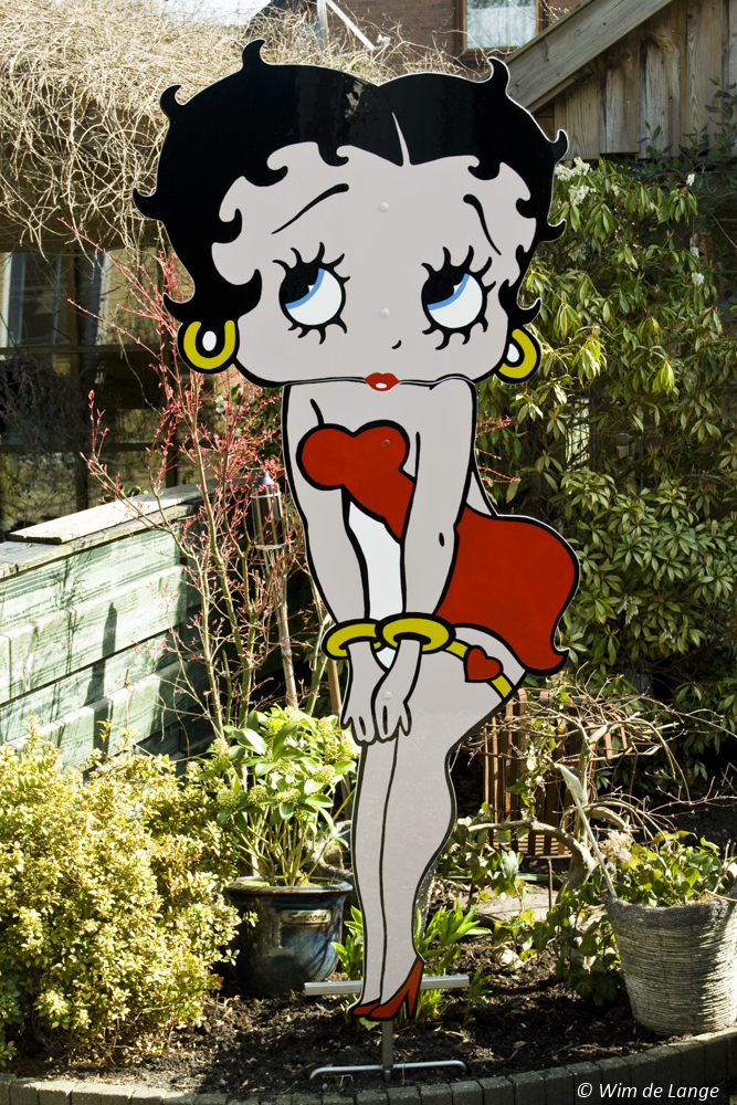 BD-015 Feestbord Betty Boop